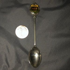 Alaska  collectors spoon